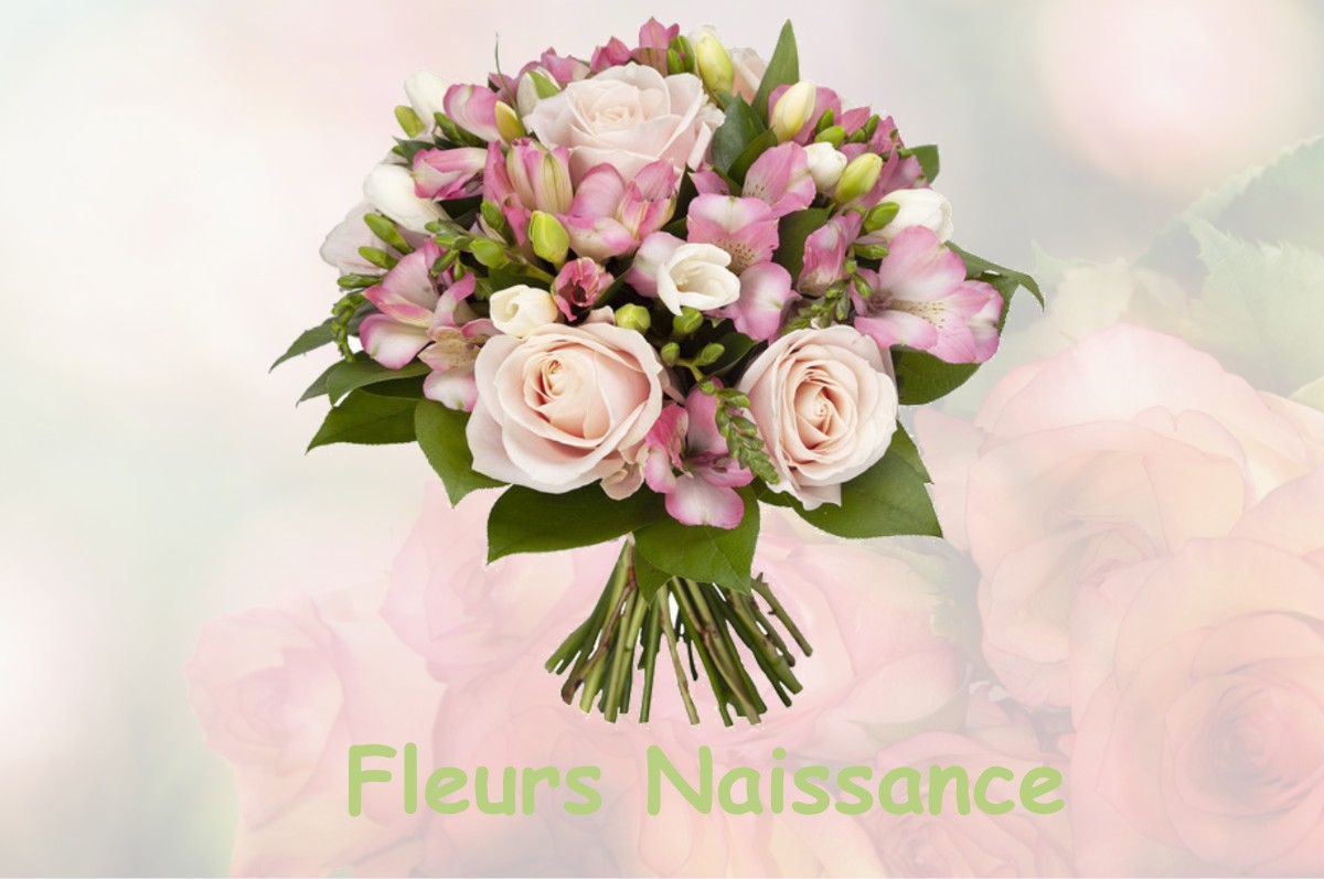 fleurs naissance SELIGNEY