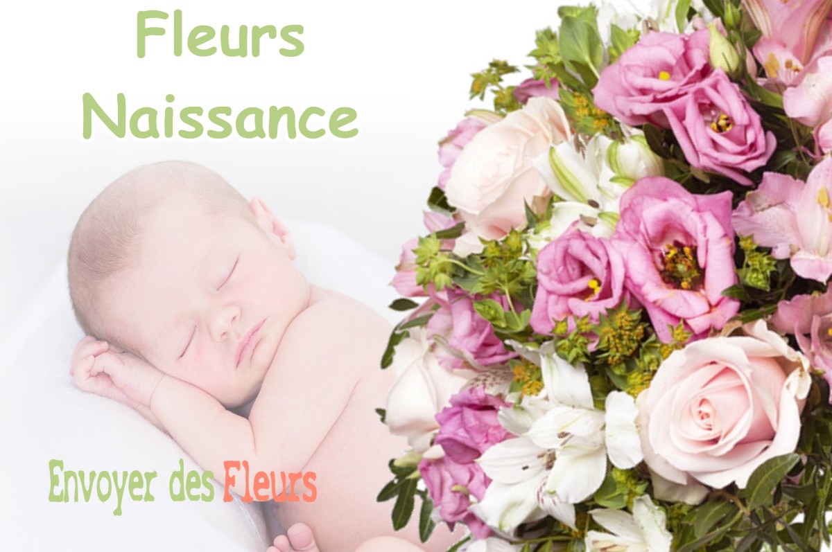 lIVRAISON FLEURS NAISSANCE à SELIGNEY